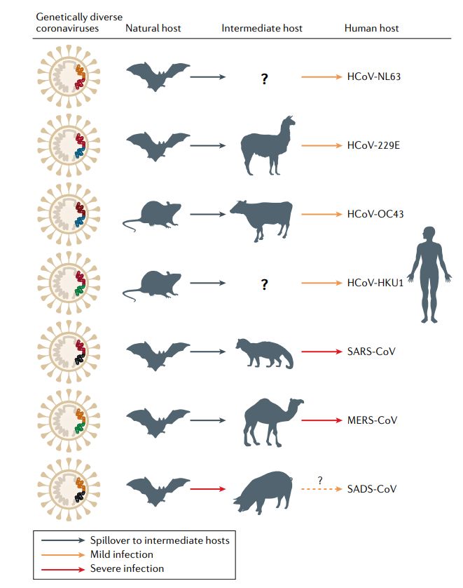1580803084960178.jpg 文章一圖2.jpg