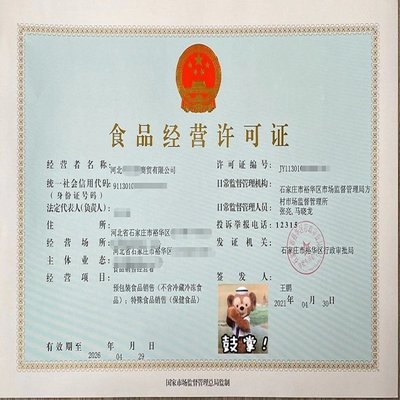 石家莊公司注冊：快至當(dāng)天出證，財稅代理與分公司注冊服務(wù)